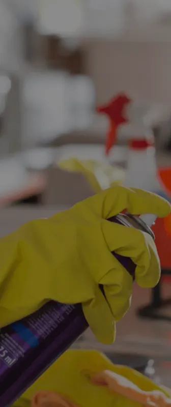 Reliable Residential & Commercial Cleaning in Hollywood, FL